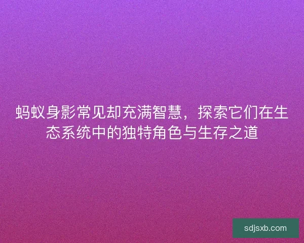 蚂蚁身影常见却充满智慧，探索它们在生态系统中的独特角色与生存之道