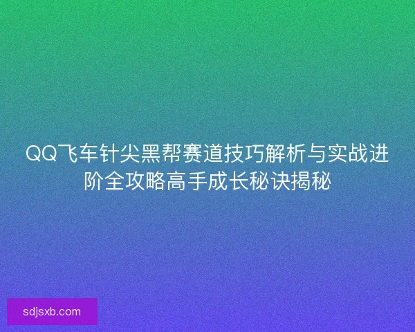 QQ飞车针尖黑帮赛道技巧解析与实战进阶全攻略高手成长秘诀揭秘